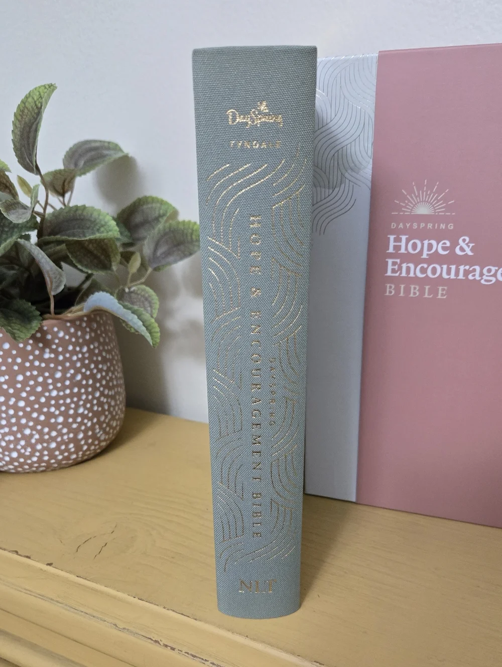 DaySpring Bible Bundle Including 8 Pack Of Cards & Promise Box Of 141 Cards. New